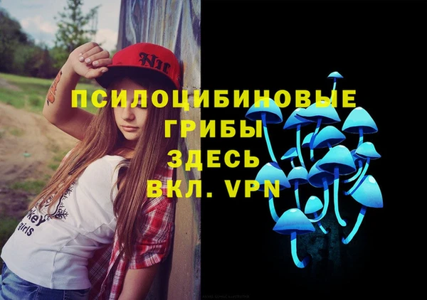 стафф Алзамай