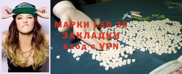 ГАЛЛЮЦИНОГЕННЫЕ ГРИБЫ Арсеньев