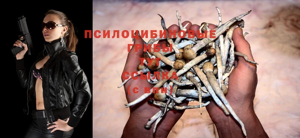 стафф Алзамай