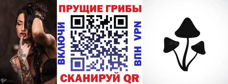 хочу   Сатка  Галлюциногенные грибы ЛСД 